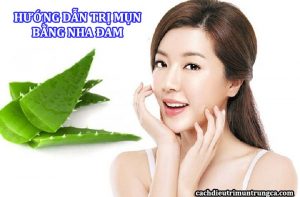 Cách trị mụn trứng cá bằng nha đam