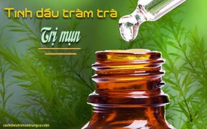 tinh dầu tràm trà trị mụn