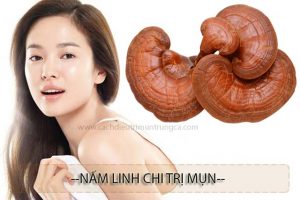 nấm linh chi trị mụn hiệu quả